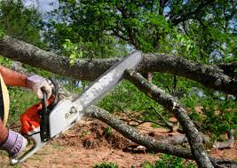 Best Soil Testing and Treatment  in Carteret, NJ